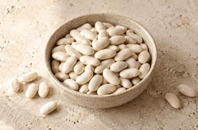 Haricots lingots blancs secs dans un bol en grès