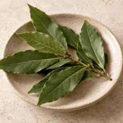 Feuilles de laurier-sauce fraîches dans une coupelle en grès