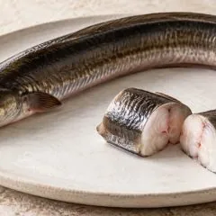 Anguille fraîche entière et en tronçons sur un plat clair