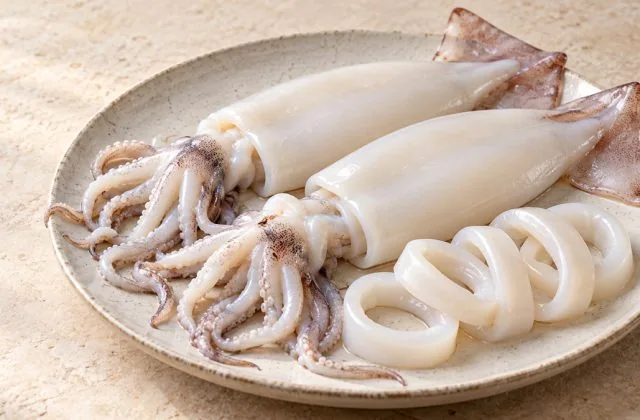 Calamars frais nettoyés avec tentacules et anneaux sur une assiette claire