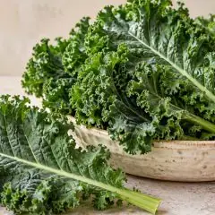 Feuilles fraîches de chou kale vert dans un plat en grès