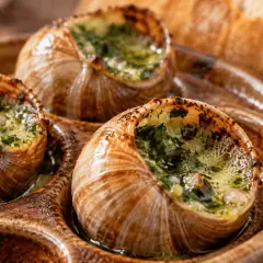 Escargots de Bourgogne