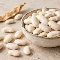 Haricots tarbais secs blancs ivoire légèrement aplatis
