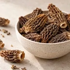 Morilles séchées brunes aux chapeaux alvéolés dans un bol
