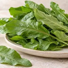 Bouquet de feuilles fraîches d’oseille dans un plat en grès