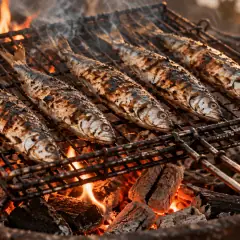 Sardines grillées
